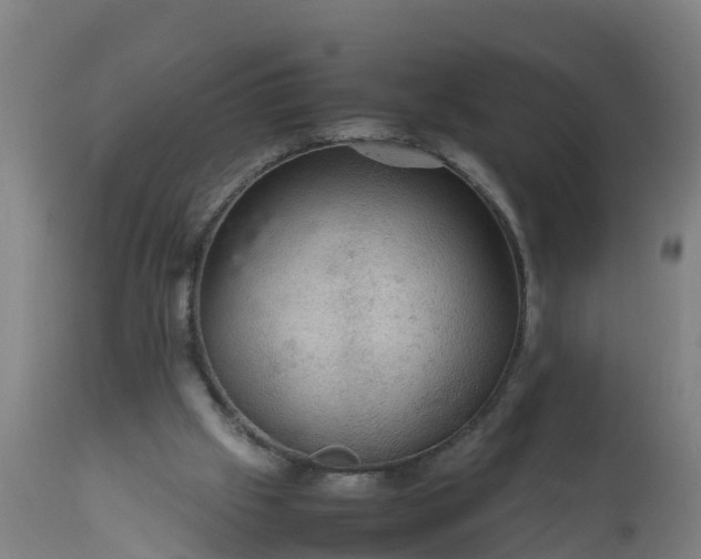 X0000112010057200908171453