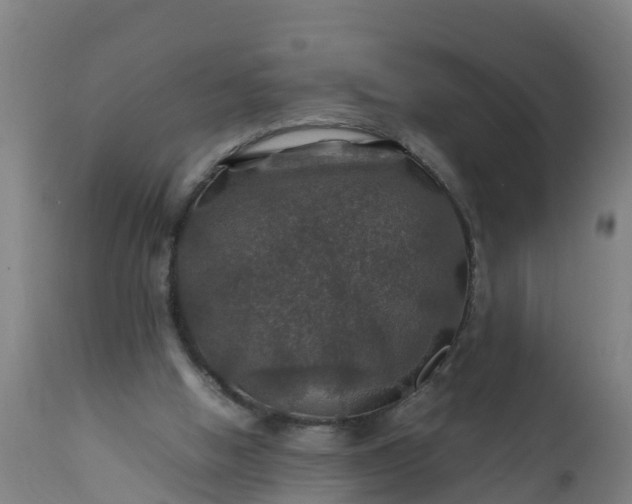 X0000112010058200908171453