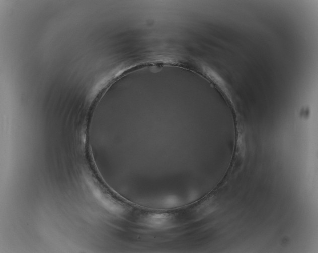 X0000112010059200908171453