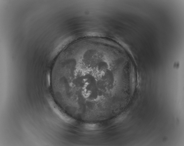 X0000112010061200908171453