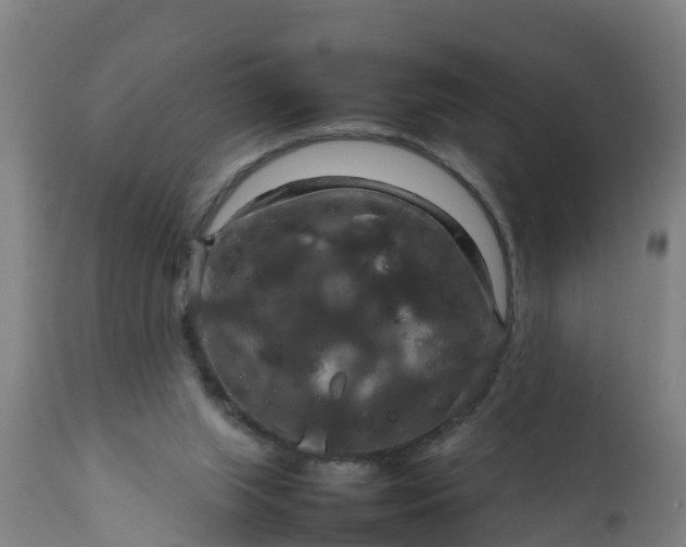 X0000112010063200908171453