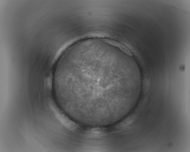 X0000112010064200908171453