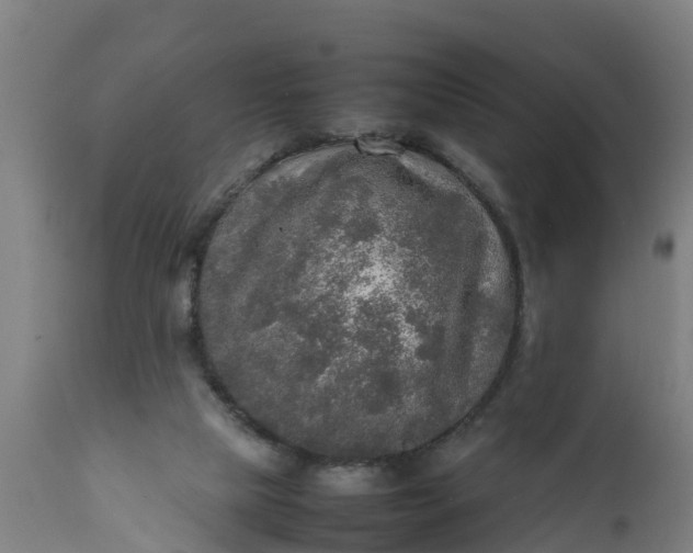 X0000112010065200908171453