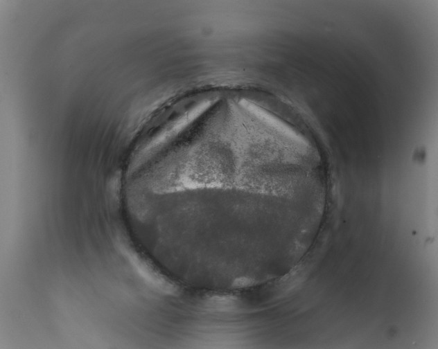 X0000112010066200908171453