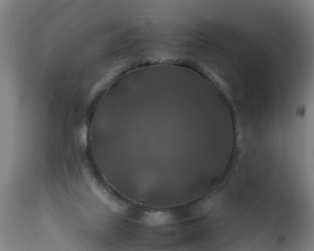 X0000112010067200908171453