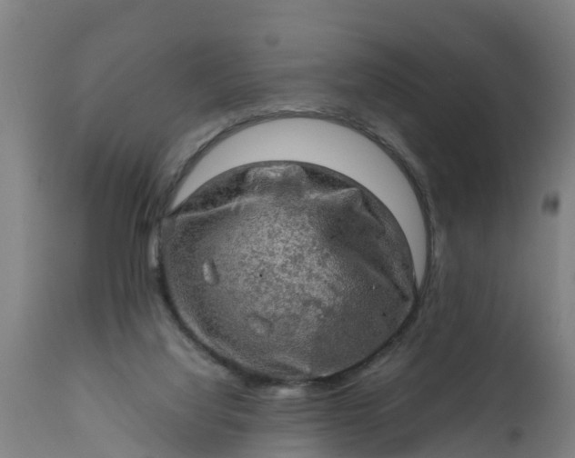 X0000112010068200908171453