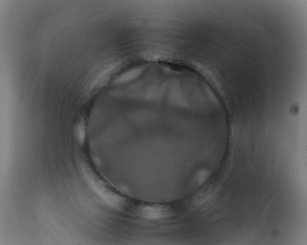 X0000112010069200908171453