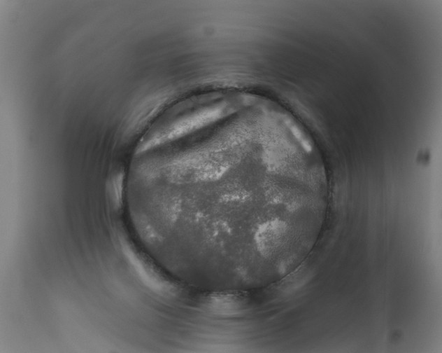 X0000112010070200908171453