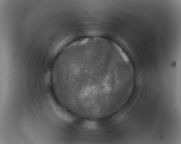 X0000112010071200908171453