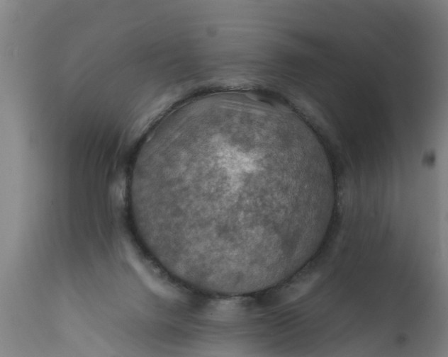 X0000112010072200908171453