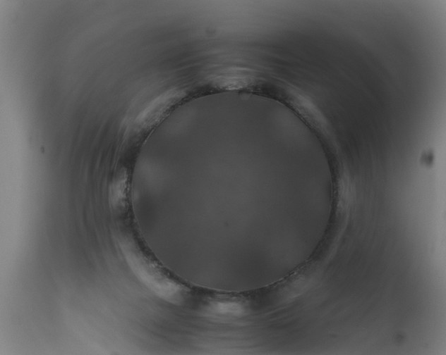 X0000112010073200908171453