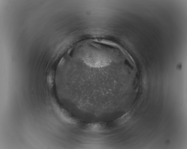 X0000112010074200908171453