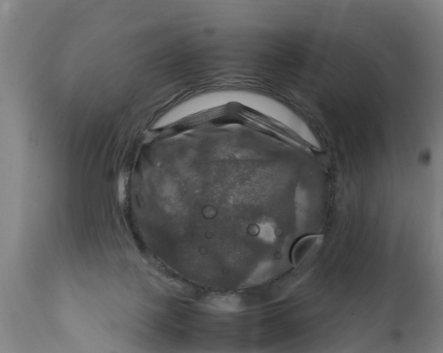 X0000112010075200908171453