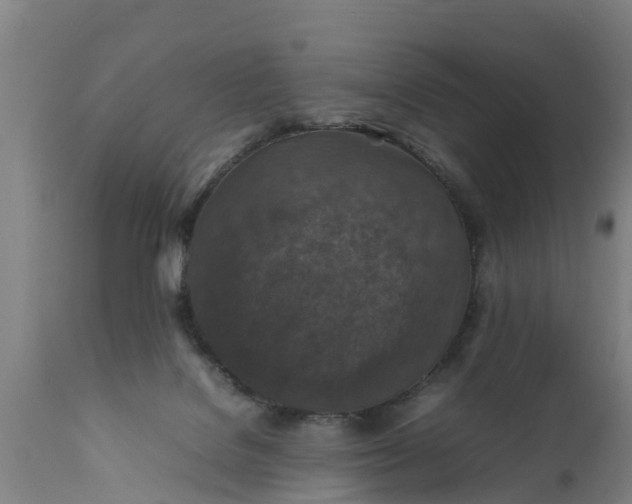 X0000112010076200908171453