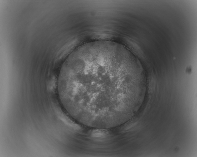 X0000112010077200908171453