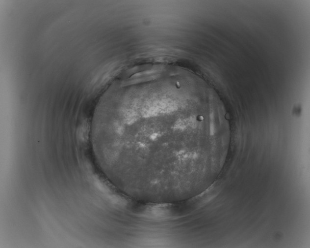 X0000112010078200908171453