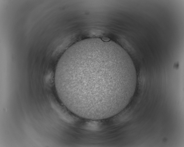 X0000112010079200908171453