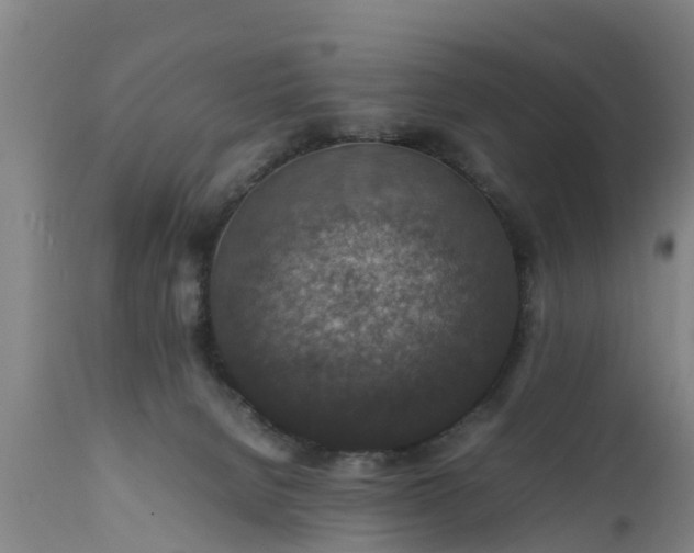 X0000112010080200908171453