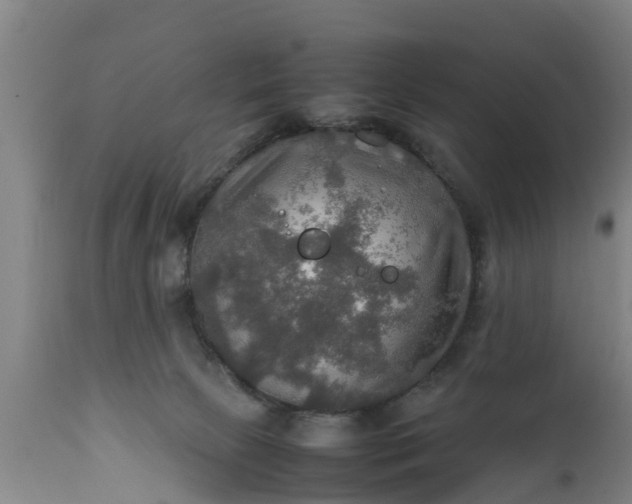 X0000112010081200908171453