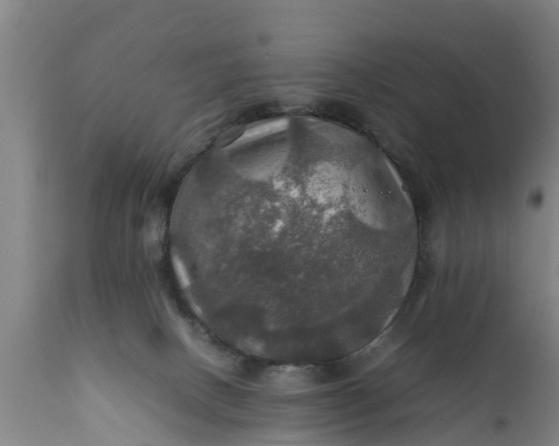 X0000112010082200908171453