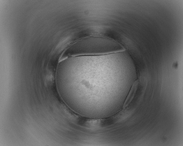 X0000112010084200908171453