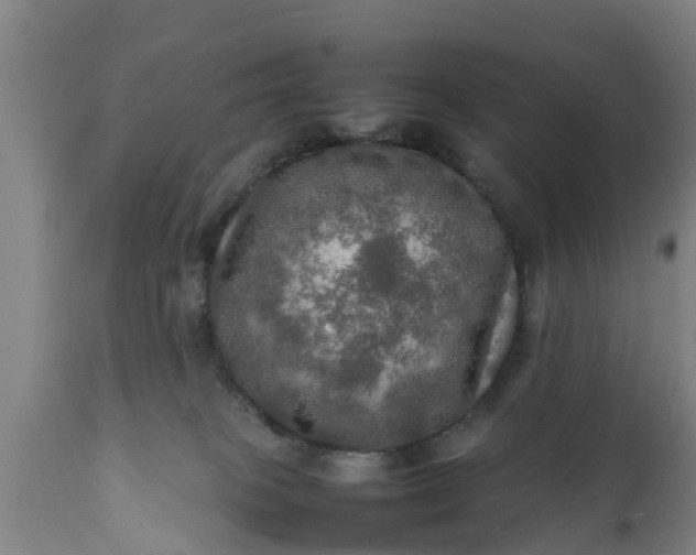 X0000112010085200908171453