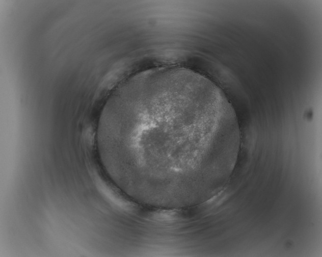 X0000112010086200908171453