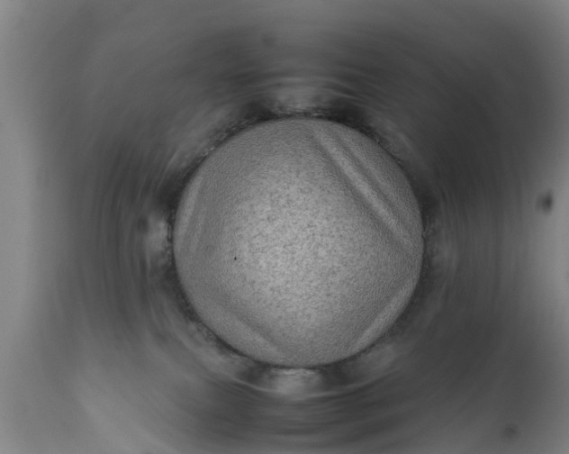 X0000112010087200908171453