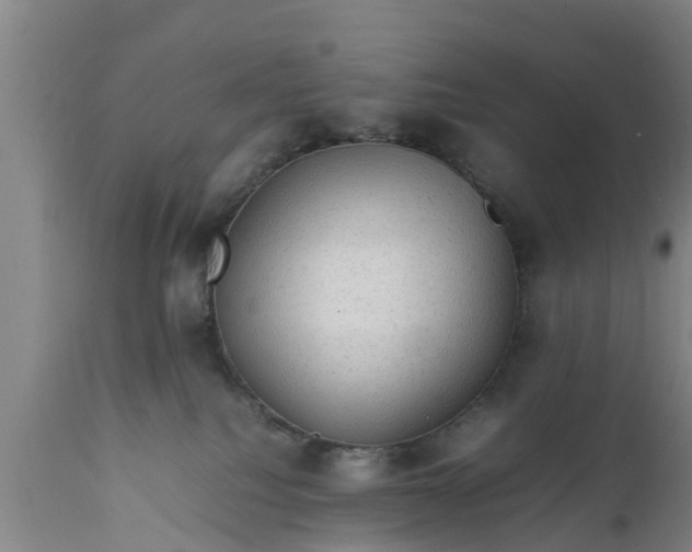 X0000112010088200908171453