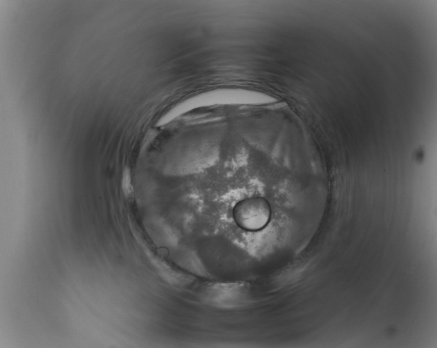 X0000112010089200908171453