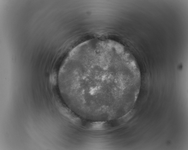 X0000112010090200908171453