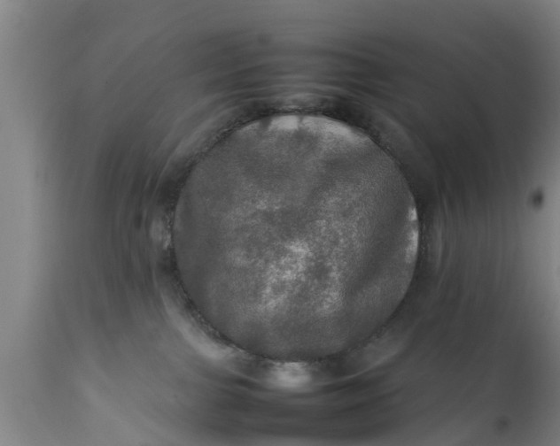 X0000112010091200908171453