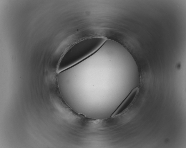 X0000112010092200908171453