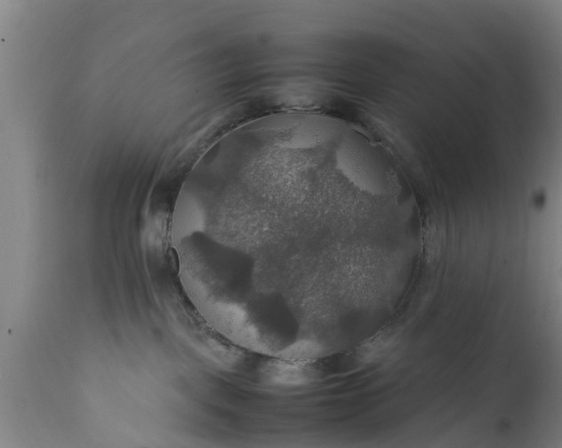 X0000112010093200908171453