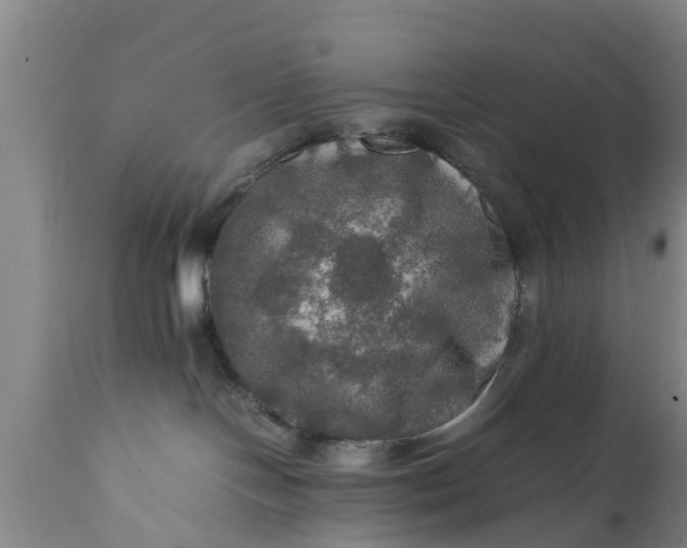 X0000112010094200908171453