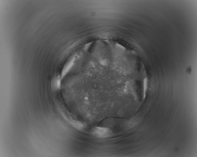 X0000112010095200908171453