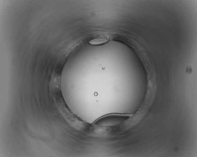 X0000112010096200908171453