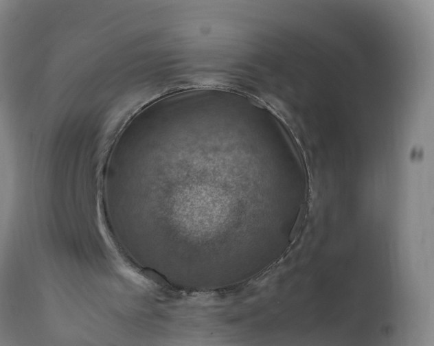 X0000112010097200908171452