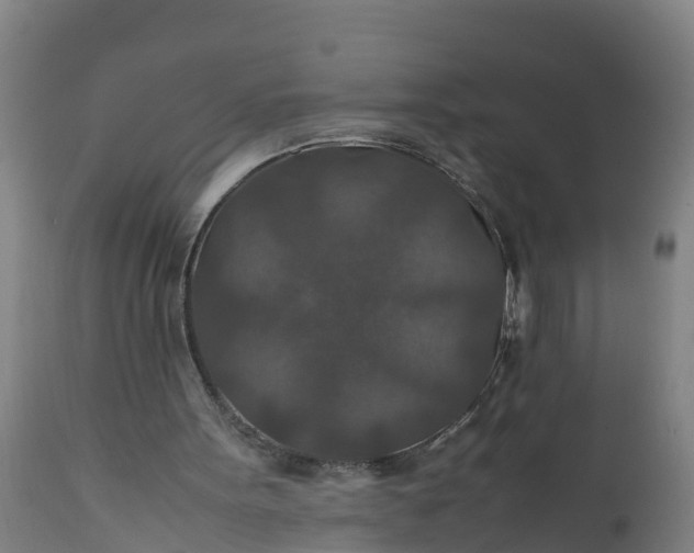 X0000112010099200908171452