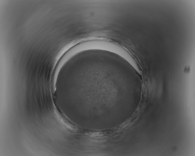 X0000112010100200908171452