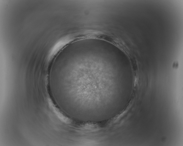 X0000112010101200908171452