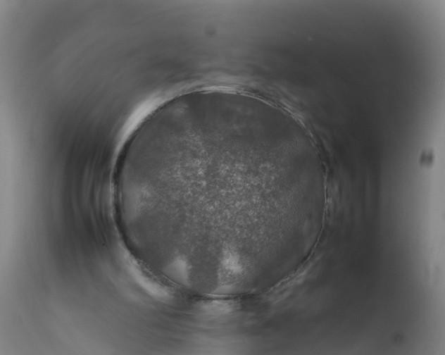 X0000112010102200908171452