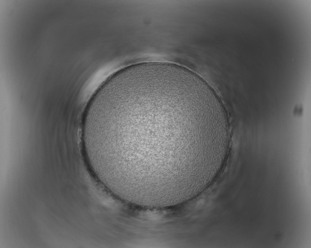 X0000112010103200908171452