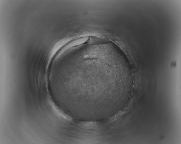 X0000112010104200908171452