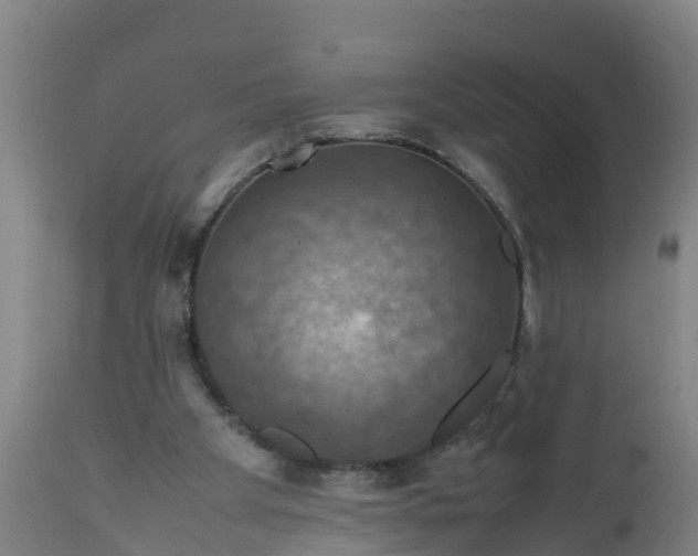 X0000112010105200908171452