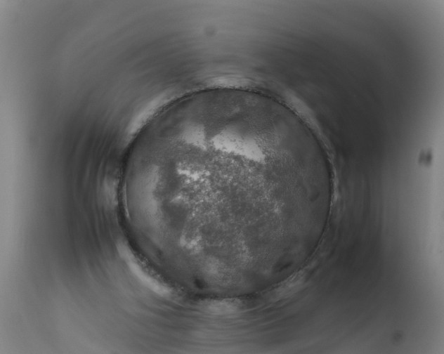 X0000112010106200908171452