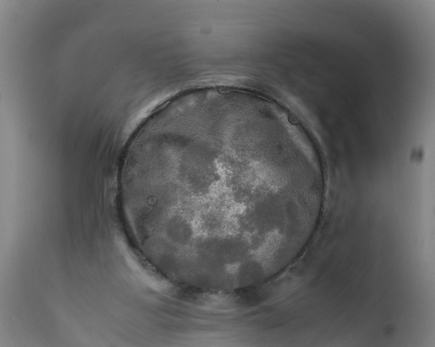 X0000112010107200908171452