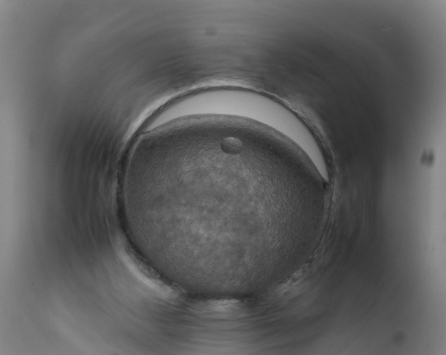 X0000112010108200908171452