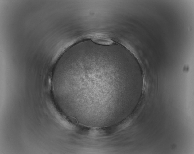 X0000112010109200908171452