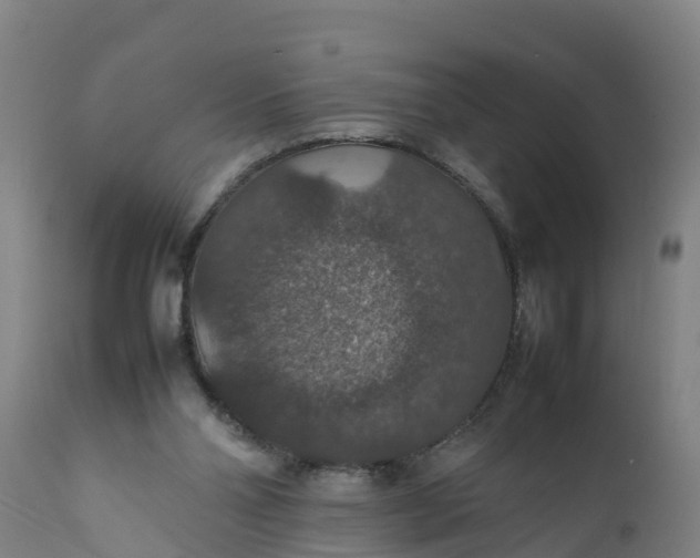 X0000112010110200908171452